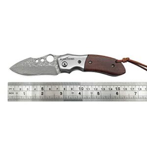 ALBATROSS Pocket Knife Cote D'Ivoire Sandalwood 6.22" Damascus Steel Knife Liner Lock Folding Knife - HGDK007