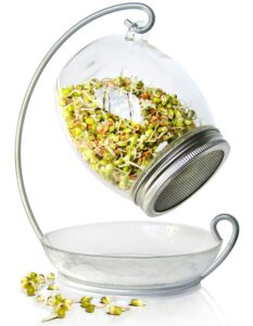premium sprouting jar kit - unique 30 oz wide mouth sprouting jar, stand, tray and 316 stainless screen lid | decorative indoor seed sprouter and germinator (1 kit)