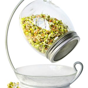 Premium Sprouting Jar Kit - Unique 30 oz Wide Mouth Sprouting Jar, Stand, Tray and 316 Stainless Screen Lid | Decorative Indoor Seed Sprouter and Germinator (1 Kit)