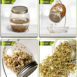 Premium Sprouting Jar Kit - Unique 30 oz Wide Mouth Sprouting Jar, Stand, Tray and 316 Stainless Screen Lid | Decorative Indoor Seed Sprouter and Germinator (1 Kit)