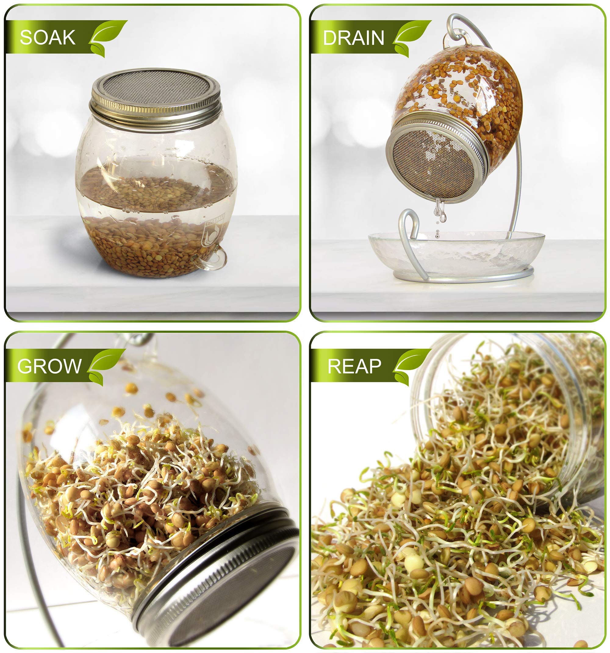 Premium Sprouting Jar Kit - Unique 30 oz Wide Mouth Sprouting Jar, Stand, Tray and 316 Stainless Screen Lid | Decorative Indoor Seed Sprouter and Germinator (1 Kit)