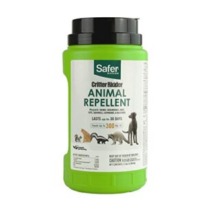 safer 5929 critter ridder animal repellent granules - repels raccoons, skunks, dogs, cats, chipmunks, squirrels & groundhogs - omri listed for organic use - protects up to 300 sq ft