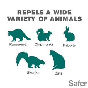 Safer 5929 Critter Ridder Animal Repellent Granules - Repels Raccoons, Skunks, Dogs, Cats, Chipmunks, Squirrels & Groundhogs - OMRI Listed for Organic Use - Protects up to 300 Sq Ft