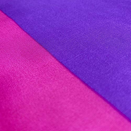 Flaglink Bisexual Pride Flag 3x5Fts - Bi Rainbow Banner