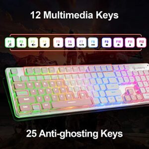 LANGTU Membrane Gaming Keyboard, Rainbow LED Backlit Quiet Keyboard for Office, USB Wired All-Metal Panel 25 Keys Anti-ghosting Computer Keyboard 104 Keys - L1 White/Silver…