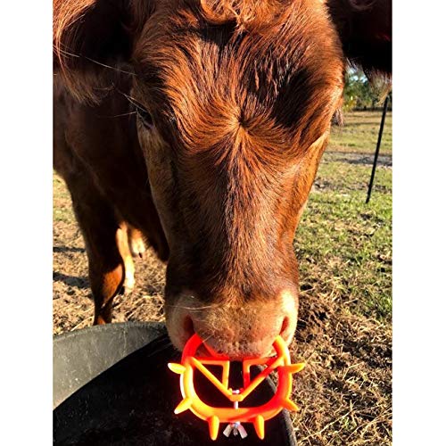 TIHOOD 10PCS Cow Nose Ring Farm Livestock Animal Weaner Red Plastic Weaning Tool for Calf Cattle Prevent Sucking