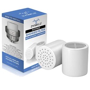 15-stage shower filter replacement cartridge (2-pack)