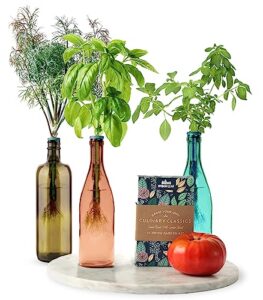herb garden kit indoor - grow fresh herbs plants hydroponically indoors with this unique window garden kit - bottle stopper gardening kit - kitchen windowsill planter grow live herbs at home from seed