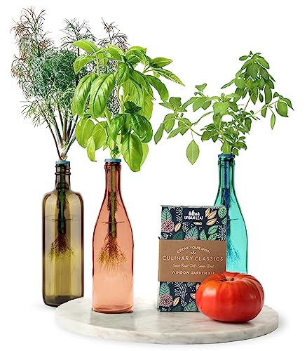 Herb Garden Kit Indoor - Grow Fresh Herbs Plants Hydroponically Indoors with this unique Window Garden Kit - Bottle Stopper Gardening Kit - Kitchen Windowsill Planter Grow Live Herbs At Home from Seed