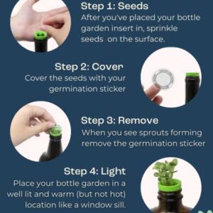 Herb Garden Kit Indoor - Grow Fresh Herbs Plants Hydroponically Indoors with this unique Window Garden Kit - Bottle Stopper Gardening Kit - Kitchen Windowsill Planter Grow Live Herbs At Home from Seed