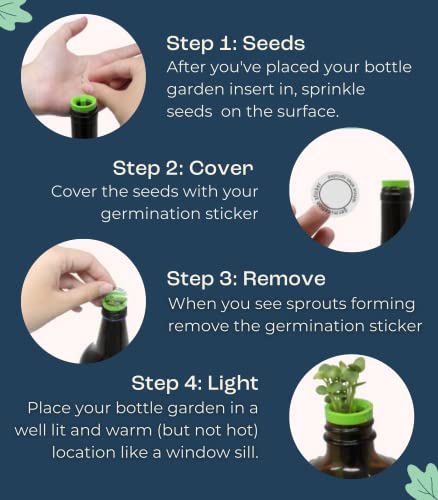 Herb Garden Kit Indoor - Grow Fresh Herbs Plants Hydroponically Indoors with this unique Window Garden Kit - Bottle Stopper Gardening Kit - Kitchen Windowsill Planter Grow Live Herbs At Home from Seed