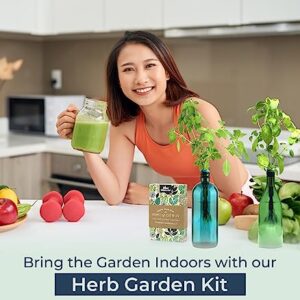 Herb Garden Kit Indoor - Grow Fresh Herbs Plants Hydroponically Indoors with this unique Window Garden Kit - Bottle Stopper Gardening Kit - Kitchen Windowsill Planter Grow Live Herbs At Home from Seed