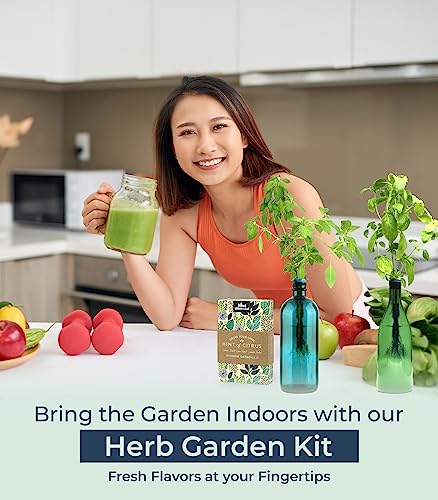 Herb Garden Kit Indoor - Grow Fresh Herbs Plants Hydroponically Indoors with this unique Window Garden Kit - Bottle Stopper Gardening Kit - Kitchen Windowsill Planter Grow Live Herbs At Home from Seed