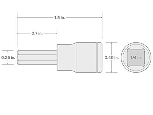 TEKTON 1/4 Inch Drive x 4 mm Hex Bit Socket | SHB03202