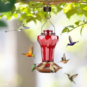 BOLITE 18018-R Hummingbird Feeder, Glass Hummingbird Feeder for Outdoors, Tower Shape Bottle, 20 Ounces, Red