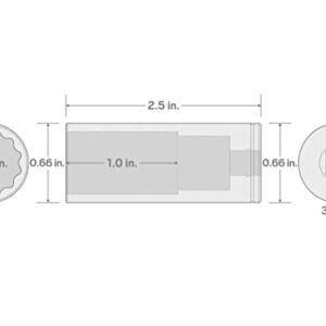TEKTON 3/8 Inch Drive x 7/16 Inch Deep 12-Point Socket | SHD13211