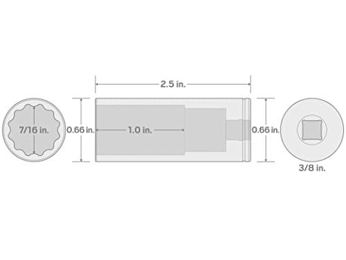 TEKTON 3/8 Inch Drive x 7/16 Inch Deep 12-Point Socket | SHD13211