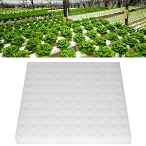 100pcs hydroponic sponge planting tool square sponges for greenhouse hydroponic sponge