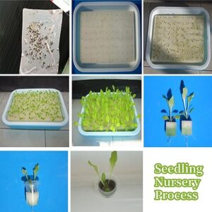 100Pcs Hydroponic Sponge Planting Tool Square Sponges for Greenhouse Hydroponic Sponge