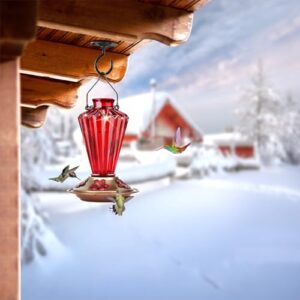 BOLITE Hummingbird Feeder, 18017R Hummingbird Feeders for Outdoors Hanging, Diamond Shape Bottle for Outside, 20 Ounces, Red, Xmas Gifts for Bird Lovers