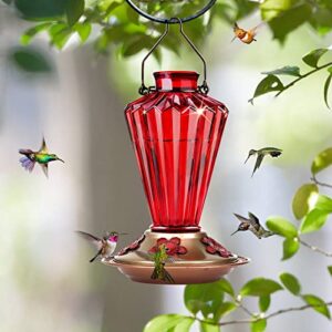 BOLITE Hummingbird Feeder, 18017R Hummingbird Feeders for Outdoors Hanging, Diamond Shape Bottle for Outside, 20 Ounces, Red, Xmas Gifts for Bird Lovers