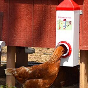RentACoop 10lb High Rise BPA-Free Single-Port Chicken Feeder - Includes Anti-Roost Lid, Rain Hood, and Mounting Hardware - Suitable for 12 Week or Older Chickens, Adult Chickens, and Poultry