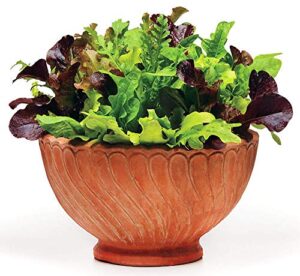 1000+ lettuce mix seeds please read! this is a mix!!! 20 varieties seeds heirloom non-gmo. seeds are not individually packaged!