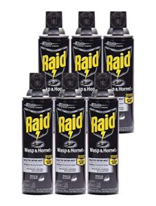 raid wasp and hornet killer (14 ounce (pack of 6))