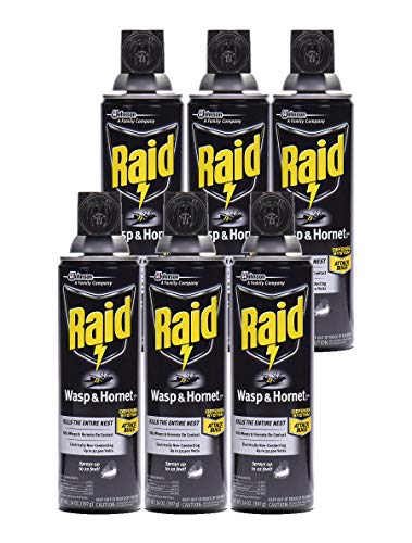 Raid Wasp and Hornet Killer (14 Ounce (Pack of 6))