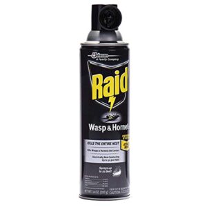 Raid Wasp and Hornet Killer (14 Ounce (Pack of 6))