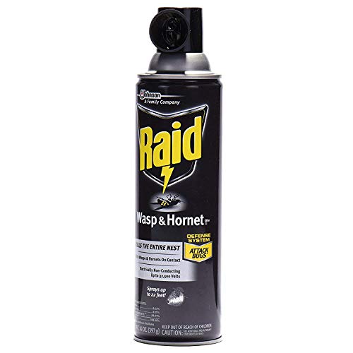 Raid Wasp and Hornet Killer (14 Ounce (Pack of 6))