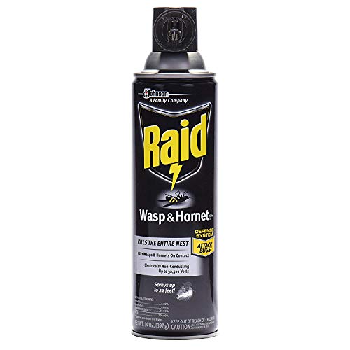 Raid Wasp and Hornet Killer (14 Ounce (Pack of 6))