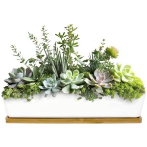 Ceramic Succulent Pots - 1 Pot - Long Rectangle - with Bamboo Tray - White - 11"