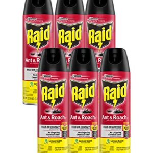 Raid Ant & Roach Killer Lemon Scent 17.5 Ounce (Pack of 6)