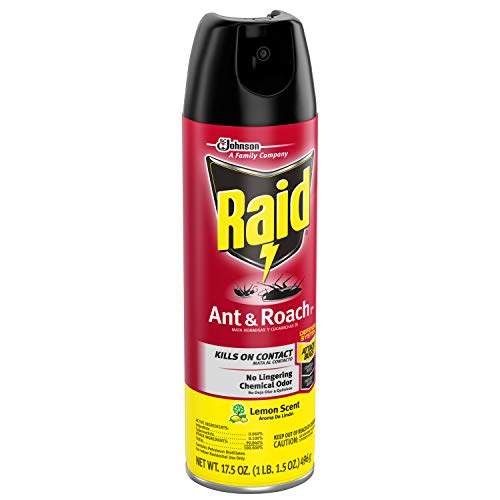 Raid Ant & Roach Killer Lemon Scent 17.5 Ounce (Pack of 6)