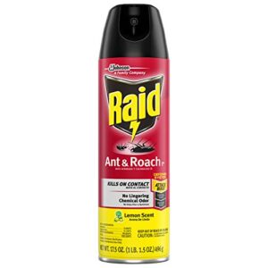 Raid Ant & Roach Killer Lemon Scent 17.5 Ounce (Pack of 6)