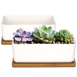 ceramic succulent pots - 1 pot - short rectangle - with bamboo tray - white - 6.3"