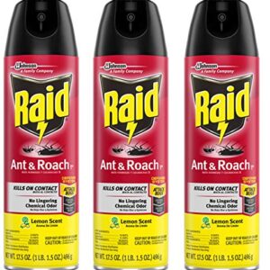Raid Ant & Roach Killer Lemon Scent 1.09 Pound (Pack of 3)