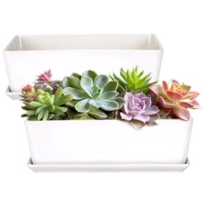 bamboomn ceramic succulent pots - 1 pot - short rectangle - with ceramic tray - white - 10.1"