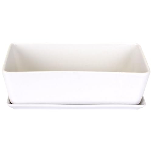 BambooMN Ceramic Succulent Pots - 1 Pot - Short Rectangle - with Ceramic Tray - White - 10.1"