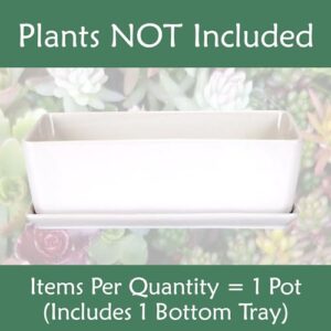 BambooMN Ceramic Succulent Pots - 1 Pot - Short Rectangle - with Ceramic Tray - White - 10.1"