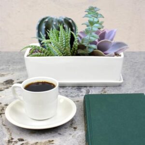 BambooMN Ceramic Succulent Pots - 1 Pot - Short Rectangle - with Ceramic Tray - White - 10.1"