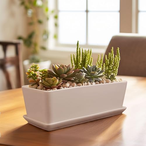 BambooMN Ceramic Succulent Pots - 1 Pot - Short Rectangle - with Ceramic Tray - White - 10.1"