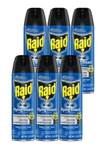raid flying insect killer (15 oz (pack - 6))