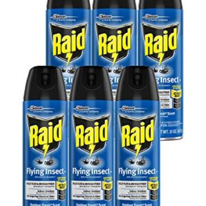 Raid Flying Insect Killer, 15 OZ (Pack - 6)