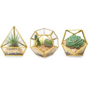 mkono 4 inches mini glass geometric terrarium container set of 3 modern tabletop planter shelves decor display centerpiece for succulent miniature fairy garden air plant, gold (plant not included)