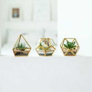 Mkono 4 Inches Mini Glass Geometric Terrarium Container Set of 3 Modern Tabletop Planter Shelves Decor Display Centerpiece for Succulent Miniature Fairy Garden Air Plant, Gold (Plant Not Included)