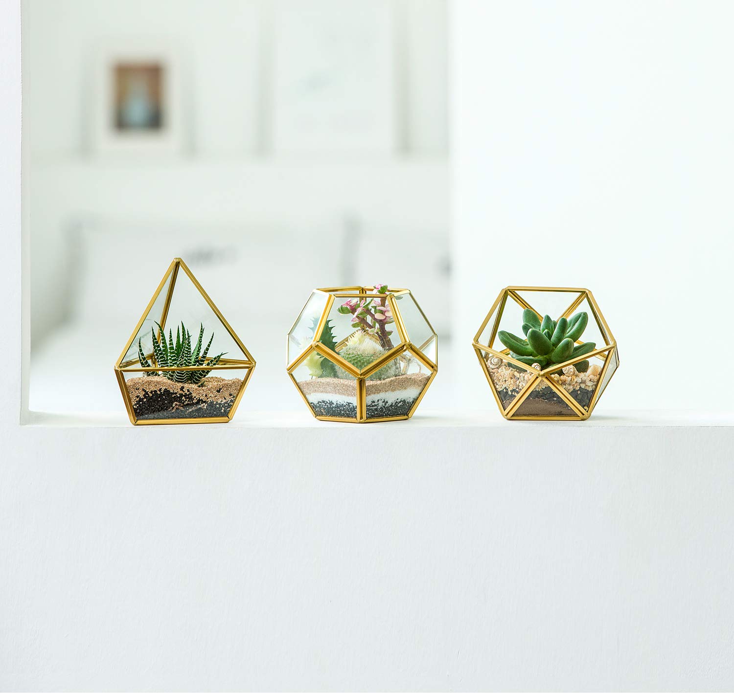 Mkono 4 Inches Mini Glass Geometric Terrarium Container Set of 3 Modern Tabletop Planter Shelves Decor Display Centerpiece for Succulent Miniature Fairy Garden Air Plant, Gold (Plant Not Included)