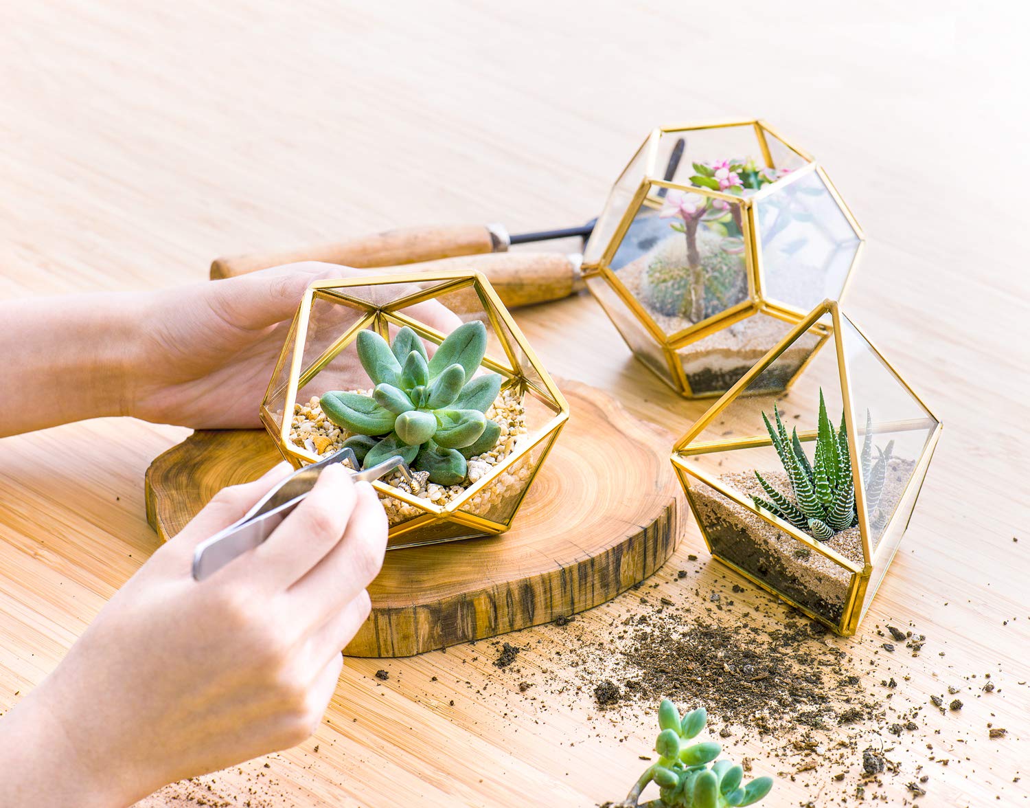 Mkono 4 Inches Mini Glass Geometric Terrarium Container Set of 3 Modern Tabletop Planter Shelves Decor Display Centerpiece for Succulent Miniature Fairy Garden Air Plant, Gold (Plant Not Included)