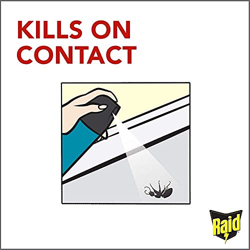 Raid Flying Insect Killer, 15 OZ (Pack of 3)
